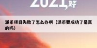 派币项目失败了怎么办啊（派币要成功了是真的吗）