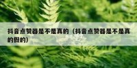 抖音点赞器是不是真的（抖音点赞器是不是真的假的）