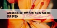 云服务器ecs的优势在哪（云服务器ecs使用教程）