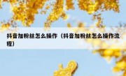 抖音加粉丝怎么操作（抖音加粉丝怎么操作流程）