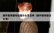 国外服务器地址是什么意思啊（国外服务器怎么填）