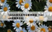 tiktok多久后可以看到收益（tiktok能赚多少钱）