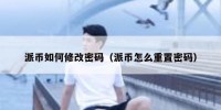 派币如何修改密码（派币怎么重置密码）
