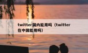 twitter国内能用吗（twitter在中国能用吗）