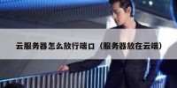 云服务器怎么放行端口（服务器放在云端）