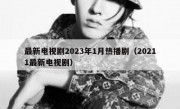 最新电视剧2023年1月热播剧（20211最新电视剧）
