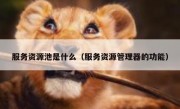 服务资源池是什么（服务资源管理器的功能）