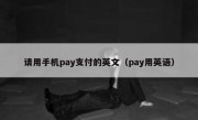 请用手机pay支付的英文（pay用英语）