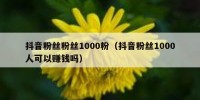 抖音粉丝粉丝1000粉（抖音粉丝1000人可以赚钱吗）