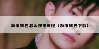派币钱包怎么使用教程（派币钱包下载）