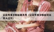 公众号多少粉丝算大号（公众号多少粉丝可以月入过万）