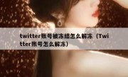 twitter账号被冻结怎么解冻（Twitter账号怎么解冻）