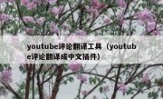 youtube评论翻译工具（youtube评论翻译成中文插件）