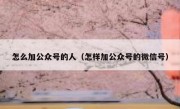 怎么加公众号的人（怎样加公众号的微信号）