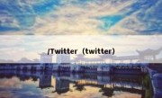 /Twitter（twitter）