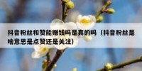 抖音粉丝和赞能赚钱吗是真的吗（抖音粉丝是啥意思是点赞还是关注）