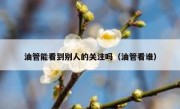油管能看到别人的关注吗（油管看谁）