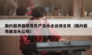 国内服务器研发生产龙头企业排名榜（国内服务器龙头公司）