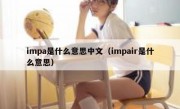 impa是什么意思中文（impair是什么意思）