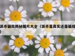 派币骗局揭秘图片大全（派币是真实还是骗局）
