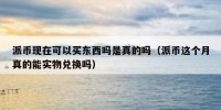 派币现在可以买东西吗是真的吗（派币这个月真的能实物兑换吗）