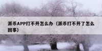 派币APP打不开怎么办（派币打不开了怎么回事）