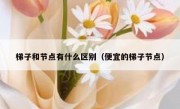 梯子和节点有什么区别（便宜的梯子节点）