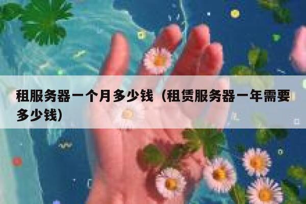 租服务器一个月多少钱（租赁服务器一年需要多少钱） 第1张