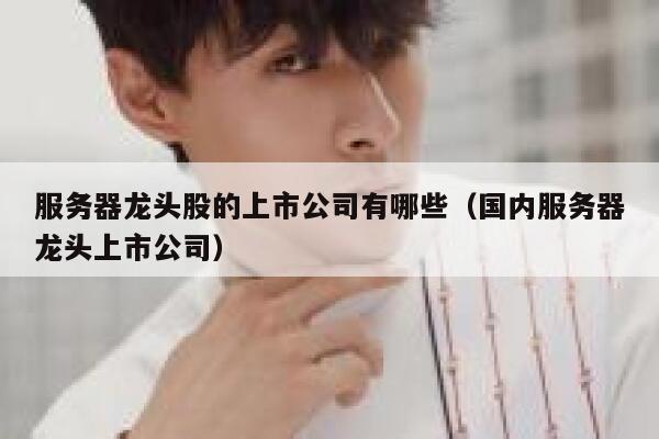 服务器龙头股的上市公司有哪些（国内服务器龙头上市公司） 第1张