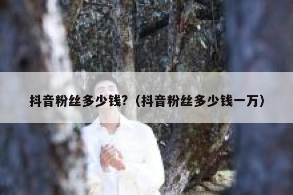 抖音粉丝多少钱?（抖音粉丝多少钱一万） 第1张