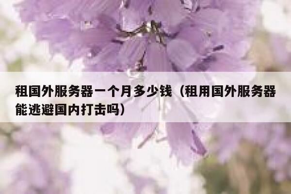 租国外服务器一个月多少钱（租用国外服务器能逃避国内打击吗） 第1张
