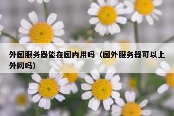 外国服务器能在国内用吗（国外服务器可以上外网吗） 第1张