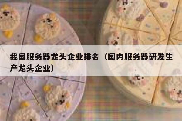我国服务器龙头企业排名（国内服务器研发生产龙头企业） 第1张