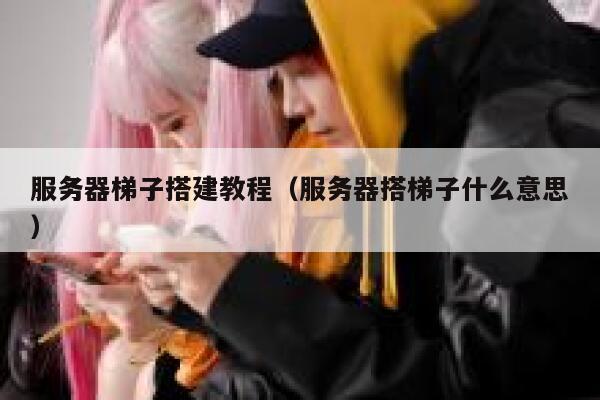 服务器梯子搭建教程（服务器搭梯子什么意思） 第1张