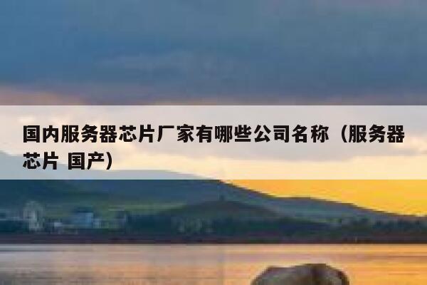 国内服务器芯片厂家有哪些公司名称（服务器芯片 国产） 第1张