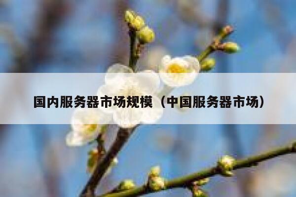 国内服务器市场规模（中国服务器市场） 第1张