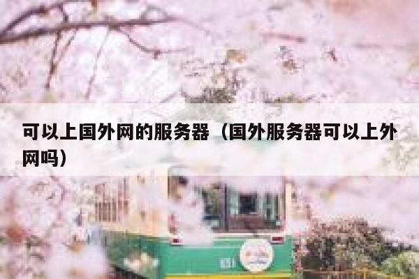 可以上国外网的服务器（国外服务器可以上外网吗） 第1张