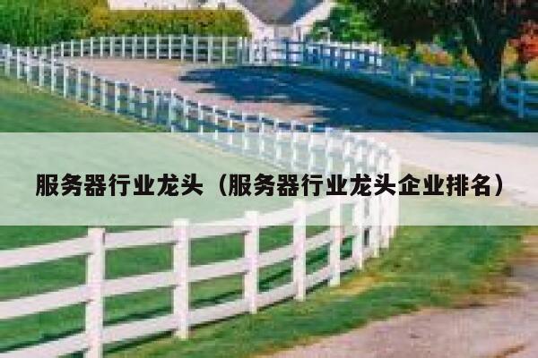 服务器行业龙头（服务器行业龙头企业排名） 第1张
