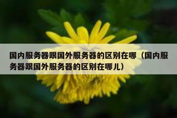 国内服务器跟国外服务器的区别在哪（国内服务器跟国外服务器的区别在哪儿） 第1张