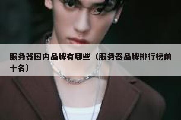 服务器国内品牌有哪些（服务器品牌排行榜前十名） 第1张