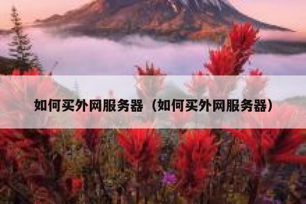 如何买外网服务器（如何买外网服务器） 第1张
