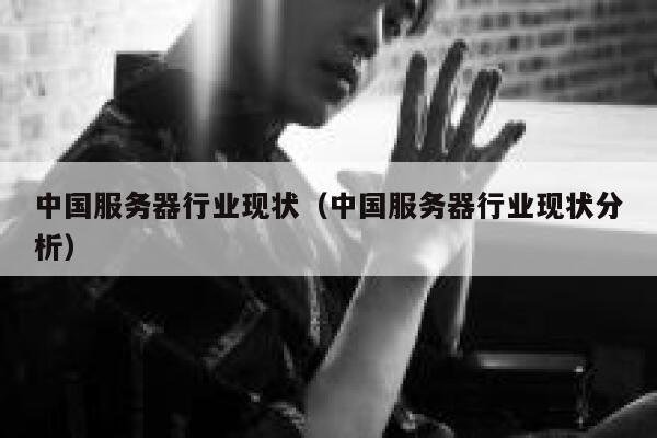 中国服务器行业现状（中国服务器行业现状分析） 第1张