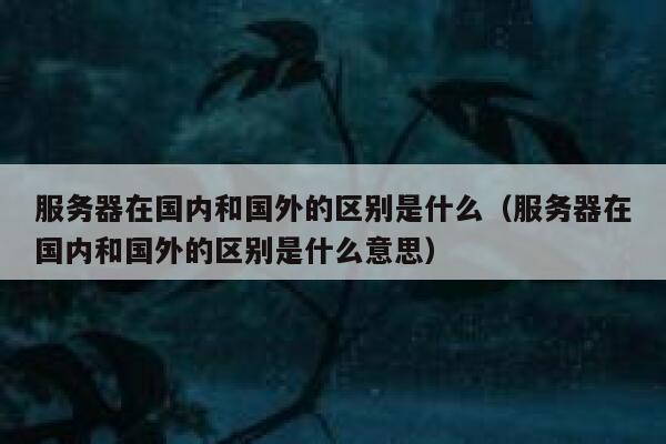 服务器在国内和国外的区别是什么（服务器在国内和国外的区别是什么意思） 第1张