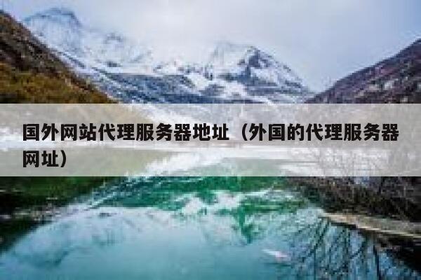 国外网站代理服务器地址（外国的代理服务器网址） 第1张