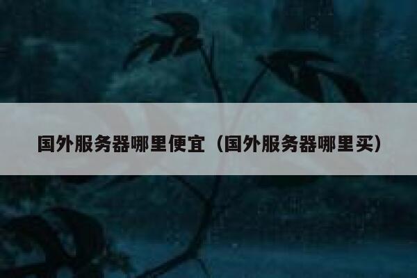 国外服务器哪里便宜（国外服务器哪里买） 第1张