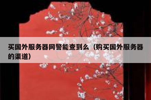 买国外服务器网警能查到么（购买国外服务器的渠道） 第1张