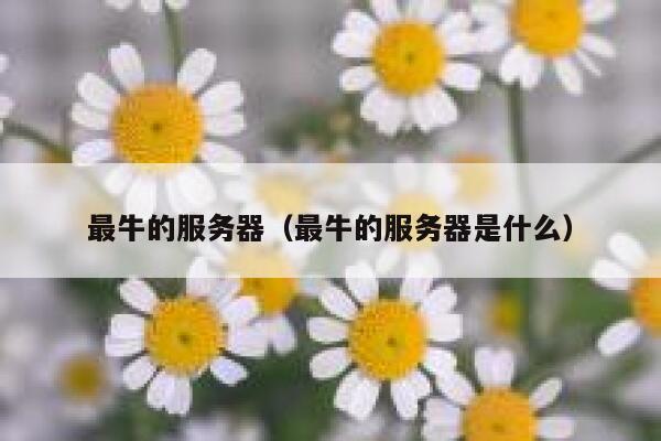 最牛的服务器（最牛的服务器是什么） 第1张