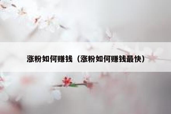 涨粉如何赚钱（涨粉如何赚钱最快） 第1张