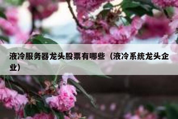 液冷服务器龙头股票有哪些（液冷系统龙头企业） 第1张