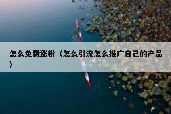 怎么免费涨粉（怎么引流怎么推广自己的产品） 第1张